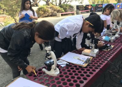 Discovering the Microscopic