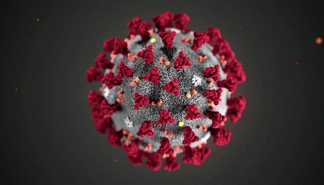 Coronavirus 2020